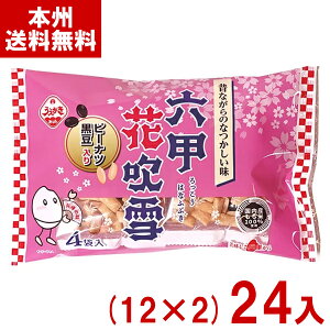 A_ĉ 60g ZbԐ4P (12×2)24 ( ĉ s[ic  َq ܂Ƃߔ) (2P[X̔)(Y12) ({B)