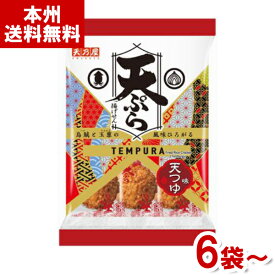 天乃屋 9枚 天ぷら揚げせん 天つゆ味 (揚げせんべい 米菓 お菓子) (本州送料無料)