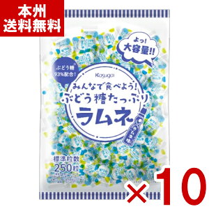 t䐻 ݂ȂŐHׂ悤! ԂǂՂ胉l 550g×10ܓ (Ɩp  َq ii ΂܂) (P[X̔)(Y12) ({B)