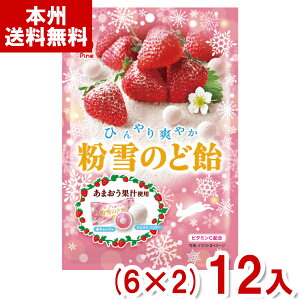 パイン 60g 粉雪のど飴 苺 (6×2)12入 (期間限定 いちご のどあめ のどケア 飴 キャンディ お菓子) (Y80) (本州送料無料)