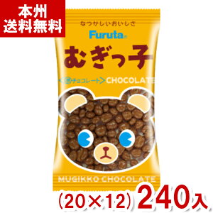 t^ 17g ނq`R[g (20×12)240 (`R[g ʉَq  َq  ii) (P[X̔)(Y12) ({B)