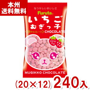 t^ 14g ނq`R[g (20×12)240 (`R[g ʉَq َq) (Y12)(P[X̔) ({B)