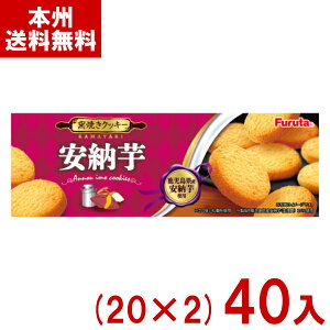 t^ 10 [NbL[ (20×2)40 (Ԍ NbL[ ĉَq َq ̑i ii) (2P[X̔) (Y12) ({B)