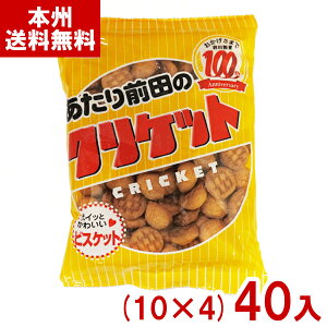 Oc 80g Oc̃NPbg (10×4)40 (Oc̃NbJ[ rXPbg ĉَq َq ) (Y10) ({B)