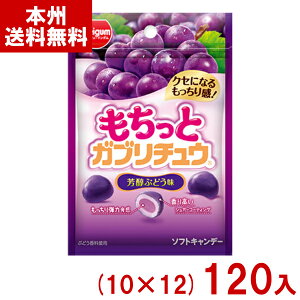 `[CK 35g ƃKu`E FԂǂ (10×12)120 (\tgLfB َq) (P[X̔)(Y12) ({B)