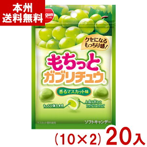 `[CK 35g ƃKu`E }XJbg (10×2)20 (\tgLfB َq) (Y80) ({B)