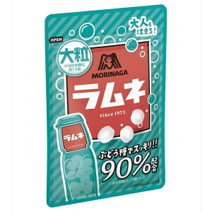 森永製菓 大粒ラムネ 41g×10袋入 (駄菓子 ブドウ糖 90％配合)