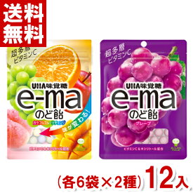 味覚糖 e-maのど飴 袋 (各6袋×2種)12入 (のどあめ キャンディ 飴) (ポイント消化) (CP) (2つ選んでメール便全国送料無料)