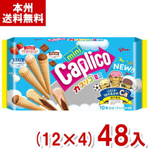 ]OR 10{ JvR~j (12×4)48 (`R[g َq  Cxg ii ̑i ei) (Y14) ({B)