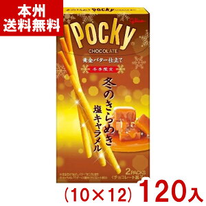 江崎グリコ 冬のきらめきポッキー (10×12)120入 (期間限定 お菓子 おやつ 景品 販促品) (ケース販売)(Y12) (本州送料無料)