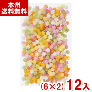 t䐻 1kg  (6×2)12 (Ɩp  ؂Ƃ َq ii ΂܂ [)(Y12)(2P[X̔) ({B)