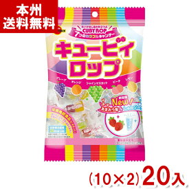 ブルボン 100g キュービィロップ (10×2)20入 (キャンディ 飴 お菓子 栄養機能食品) (Y80) (本州送料無料)