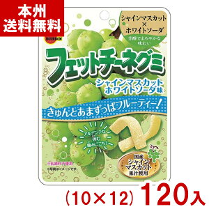 u{ 47g tFbg`[lO~ VC}XJbgzCg\[_ (10×12)120 (َq ii) (P[X̔)(Y12) ({B)