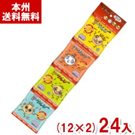 (賞味期限2024.8.6) 澁谷食品 芋けんぴ 4連パック (12×2)24入 (アウトレット 訳あり お菓子 見切り品 さつまいも お菓子 おやつ) (2ケース販売)(Y10) (本州送料無料)*