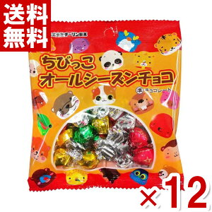 (賞味期限2026.1月末) チーリン製菓 ちびっこオールシーズンチョコ 33g×12入 (最短当日出荷) (アウトレット 訳あり お菓子 見切り品 セール チョコレート 節分) (CP) (レ) (メール便全国送料無料)*