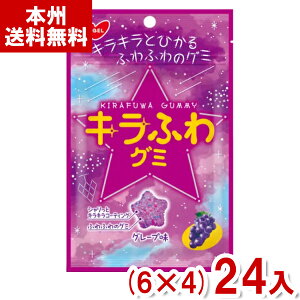 m[x 50g LӂO~ O[v (6×4)24 (Ԃǂ  O~  َq  ܂Ƃߔ [) (Y80) ({B)