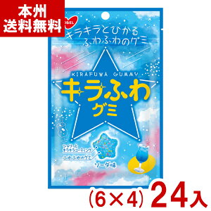 m[x 50g LӂO~ \[_ (6×4)24 ( O~  َq  ii ܂Ƃߔ [) (Y80) ({B)