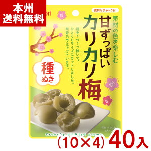 (ܖ2026.1.16) ȂƂ 22g fނ̐Fy ÂςJJ~ (10×4)40 (ŒZo) (AEgbg 󂠂 َq ؂i Z[ F  ʂ ݂͂ َq) (Y80) () (