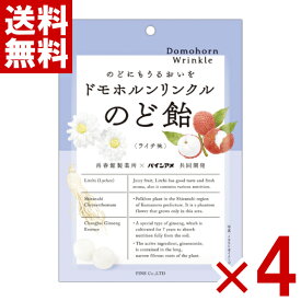 パイン ドモホルンリンクルのど飴 80g×4袋セット (ポイント消化) (np-3) (賞味期限2027.5月末) (メール便全国送料無料)