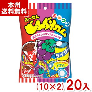 pC 110g ǂ񂮂K ~bNX (10×2)20 (ʉَq LfB K َq ii ̑i) (Y10) ({B)