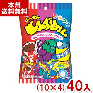 pC 110g ǂ񂮂K ~bNX (10×4)40 (ʉَq LfB K َq ii ̑i) (Y12) ({B)