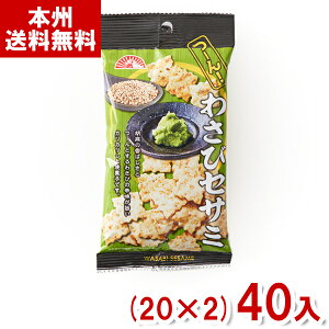 Oc 35g 킳уZT~ (20×2)40 (XibN ܂ Tr َq ii) (Y10)(2P[X̔) ({B)