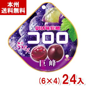 味覚糖 48g コロロ グレープ (巨峰) (6×4)24入 (ぶどう グミ お菓子 おやつ 景品 粗品 まとめ買い) (Y80) (本州送料無料)