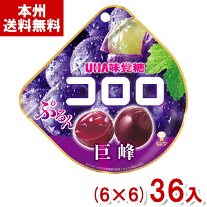 o 48g R O[v () (6×6)36 (Ԃǂ O~ َq  ii ei ܂Ƃߔ) (Y10) ({B)