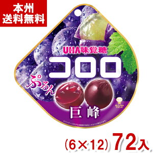 o R O[v () (6×12)72 (Ԃǂ O~ َq  ii ̑i) (Y10)(P[X̔) ({B)