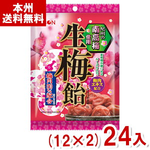 { 90g ~ (12×2)24 (E  LfB  َq ii ܂Ƃߔ) (Y10)(2P[X̔) ({B)