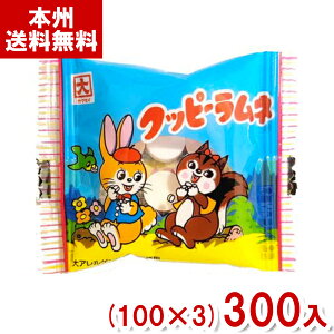 JN_C 5g Nbs[l (100×3)300ܓ (ʉَq َq ΂܂  ݎ) (Y80) ({B)