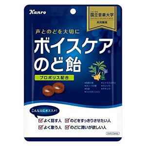 カンロ ボイスケアのど飴 6袋 飴 価格比較 価格 Com