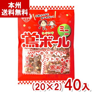 �A�_�ĉ� 42g ���{�[�� �~�j (20×2)40�� (���������{�[�� ����� ���َq) (Y10)(2�P�[�X�̔�) (�{�B��������)