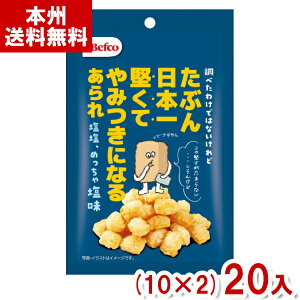 IRĉ 40g Ԃ{ꌘ  (10×2)20 ( ĉ َq) (2P[X̔)(Y80) ({B)