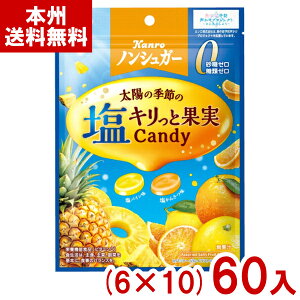 J 70g mVK[LƉʎLfB (6×10)60 (  َq) (P[X̔)(Y10) ({B)