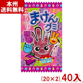 杉本屋 15g まけんグミ グレープ (20×2)40入 (駄菓子 お菓子) (Y80) (本州送料無料)