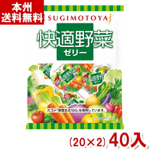 { 110g K؃[[ (20×2)40ܓ (JS KAGOME ؐ100) (Y10) ({B)