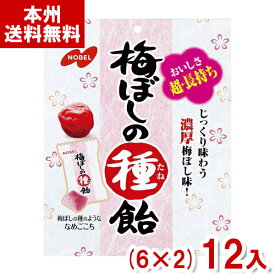 ノーベル 30g 梅ぼしの種飴 (6×2)12入 (梅干し飴 飴 キャンディ 塩分補給 熱中症対策 まとめ買い) (Y80) (本州送料無料)