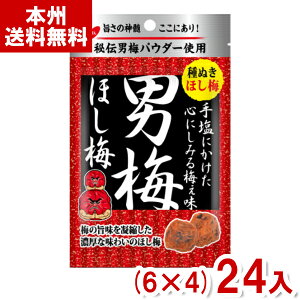 m[x 20g j~ق~ (6×4)24 (MǑ΍ ⋋  E ~ َq  ܂Ƃߔ) (Y80) ({B)
