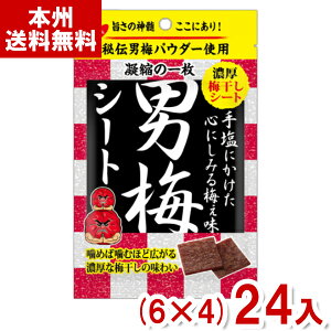 m[x 27g j~V[g (6×4)24 (MǑ΍ ⋋  ~ڂ ς َq ii ܂Ƃߔ) (Y80) ({B)