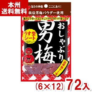 m[x 10g Ԃj~V[g (6×12)72 (j~ ~ ς َq ) (Y12)(P[X̔) ({B)