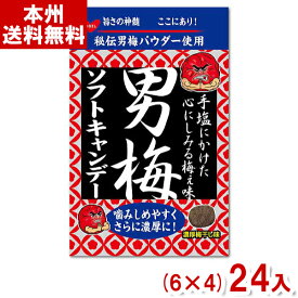 ノーベル 35g 男梅ソフトキャンデー (6×4)24入 (Y80) (本州送料無料)