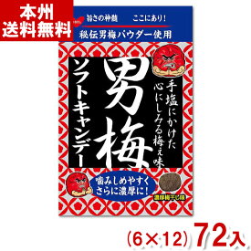 ノーベル 35g 男梅ソフトキャンデー (6×12)72入 (Y12) (ケース販売) (本州送料無料)