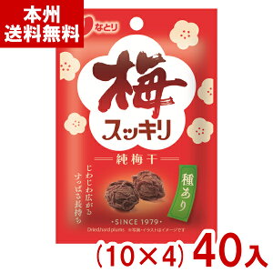 ȂƂ 14g ~XbL`bNt (10×4)40 (~ ~ MǑ΍ ⋋ ) (Y80) (new) ({B)