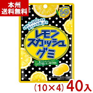 s 47g XJbVO~ (10×4)40 ( O~ َq  ii ΂܂ ܂Ƃߔ) (Y80) ({B)