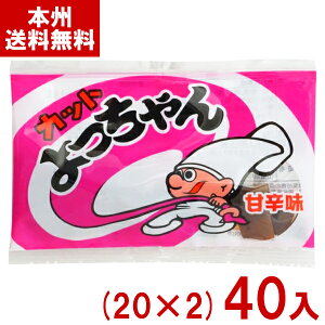 Hi 6g Jbg Ðh (20×2)40 (ʉَq  ܂ CJ َq ii) (Y60) ({B)