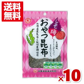 (賞味期限2024.7.10) 中野物産 しそ梅 おやつ昆布 10g×10袋入 (アウトレット 訳あり お菓子) (CP) (メール便全国送料無料)*