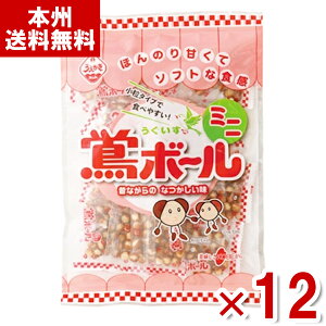 A_ĉ {[ ~j 89g×12ܓ (ĉ Ƃ    َq) (Y10)(P[X̔) ({B)