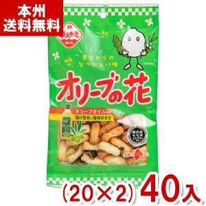 A_ĉ 43g I[ủ (20×2)40 ( ĉ  َq  ii ܂Ƃߔ) (Y12)(2P[X̔) ({B)