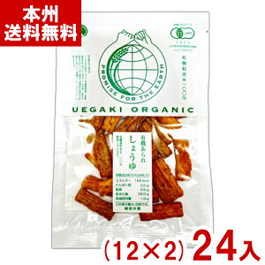 A_ĉ 45g L@ 傤 (12×2)24 (I[KjbN َq ׂ ) (2P[X̔)(Y80) ({B)